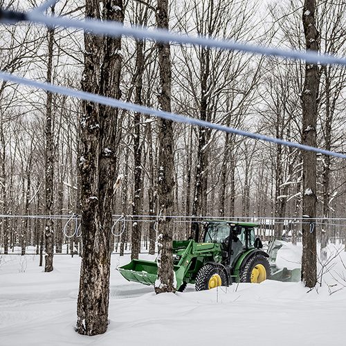 Acériculture et terre à bois